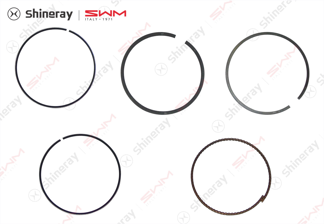 1004020-C1000-A000000>Piston Ring Component