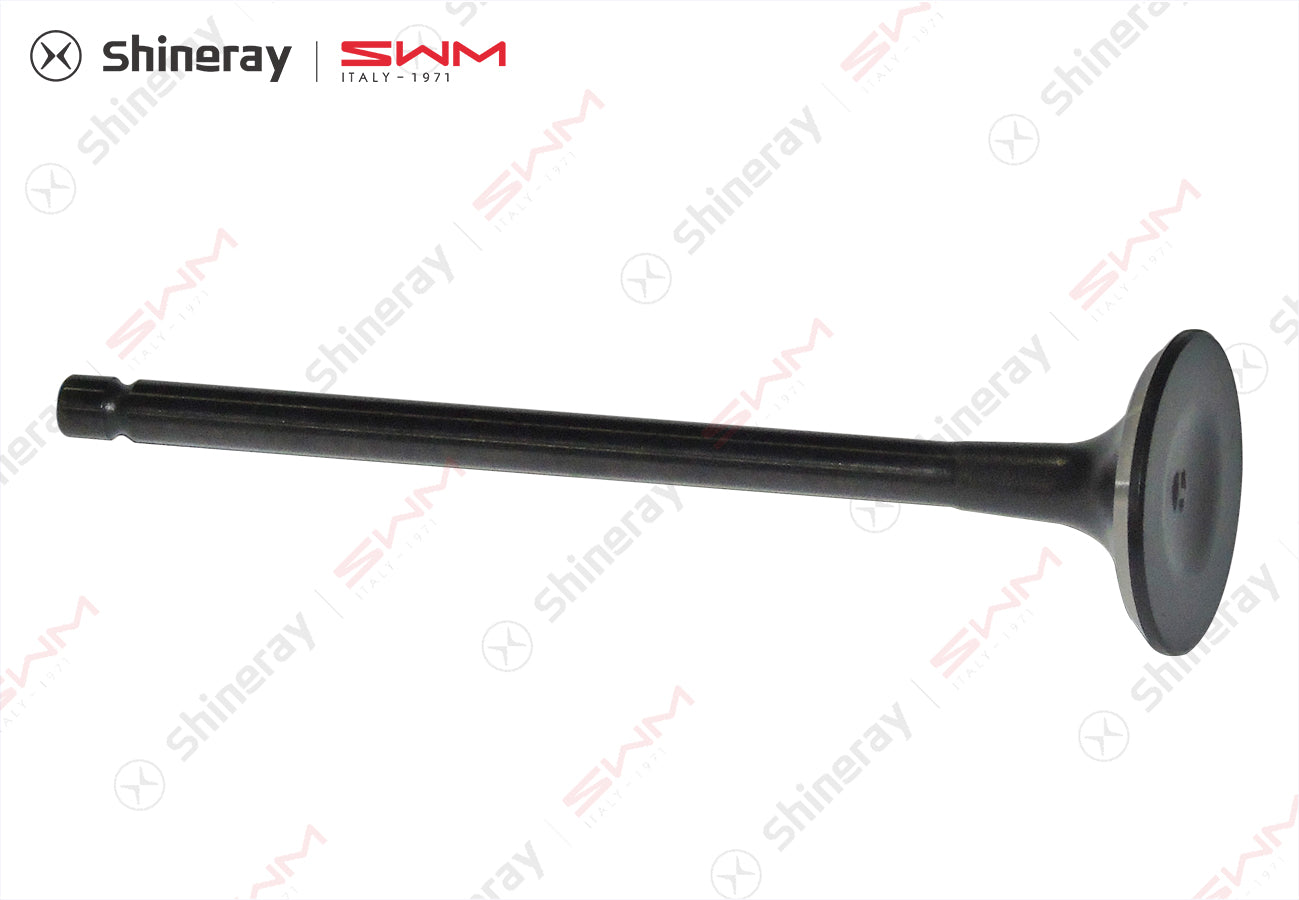 1007012-C1400-A100000>Exhaust valve