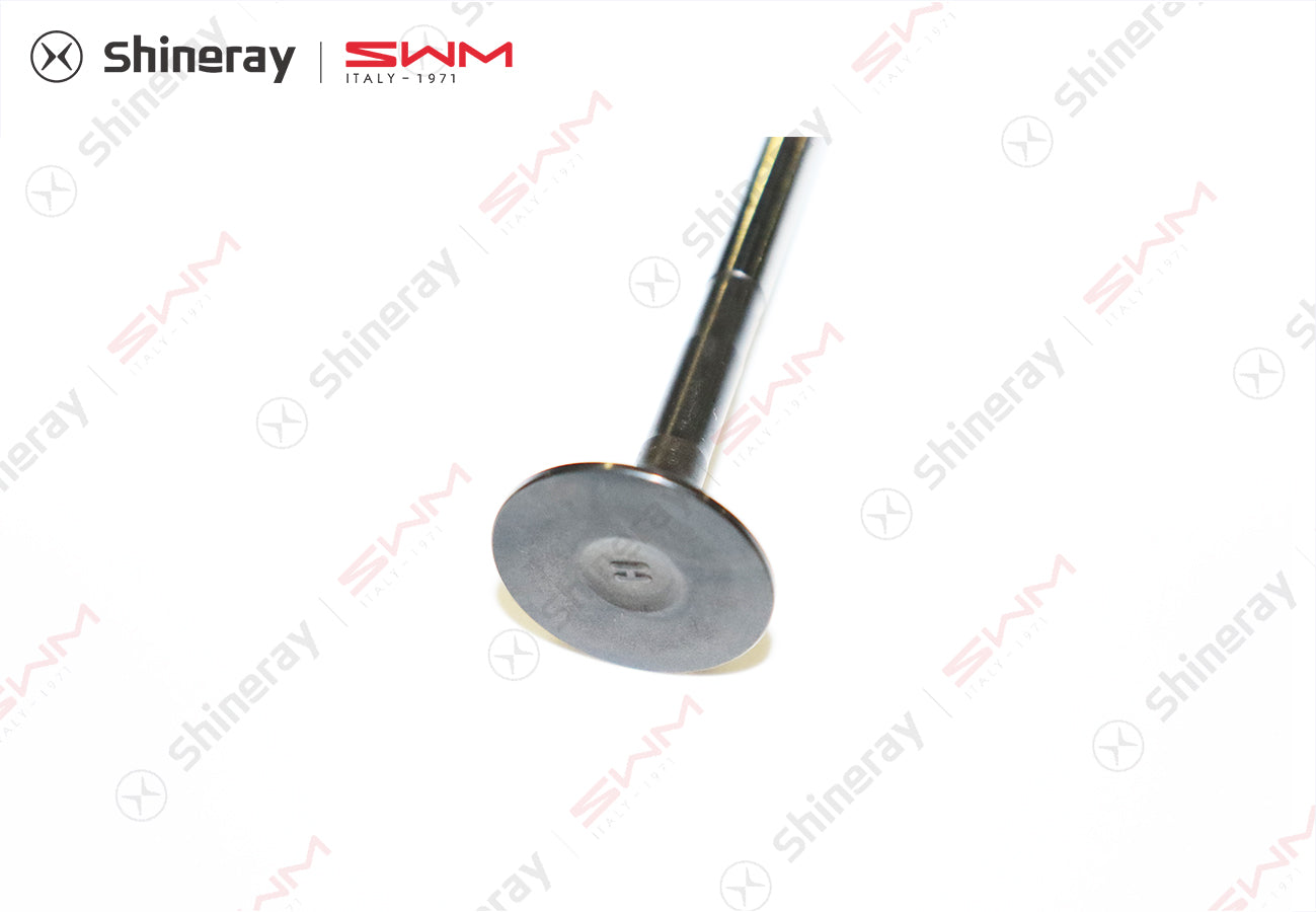 1007012-J1500-A000000>Exhaust valve