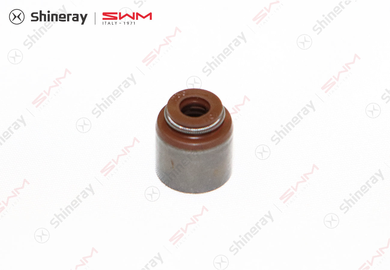 1007100-D1500-A000000>Valve oil seal