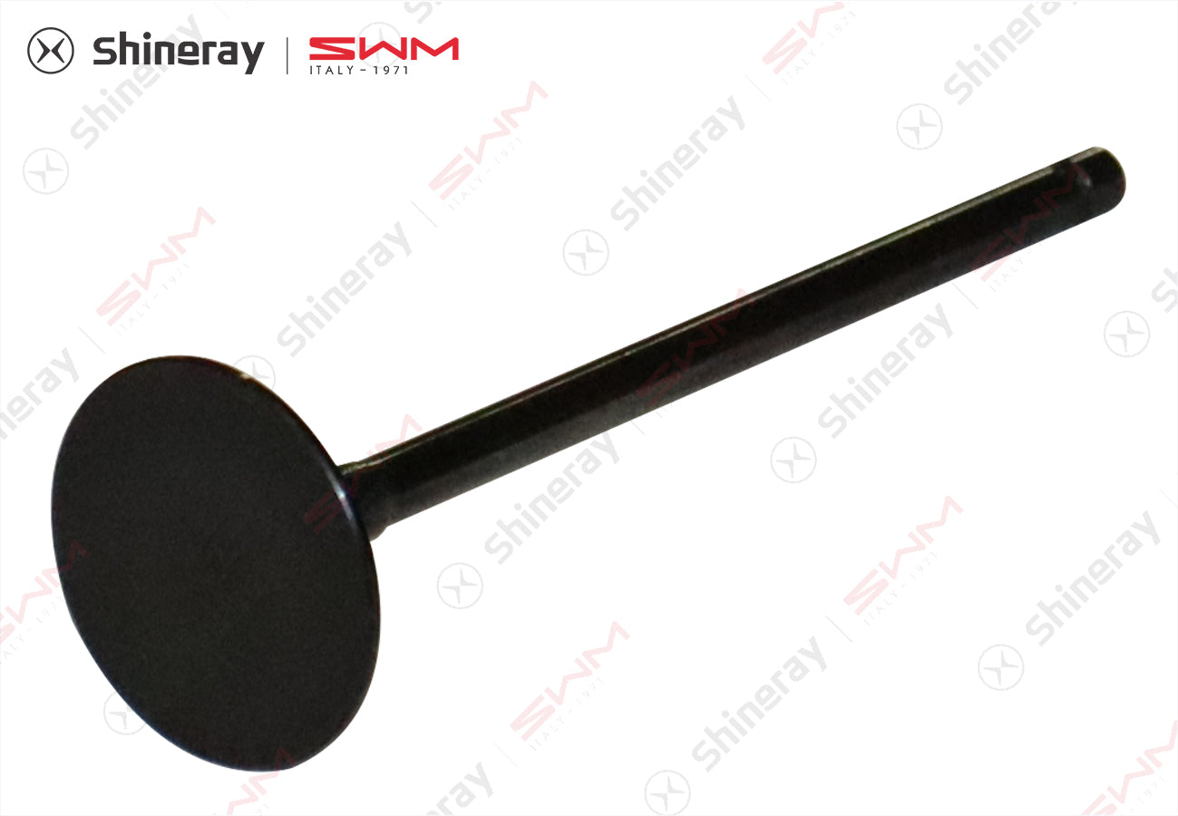 1007701-C1400-A10000>intake valve
