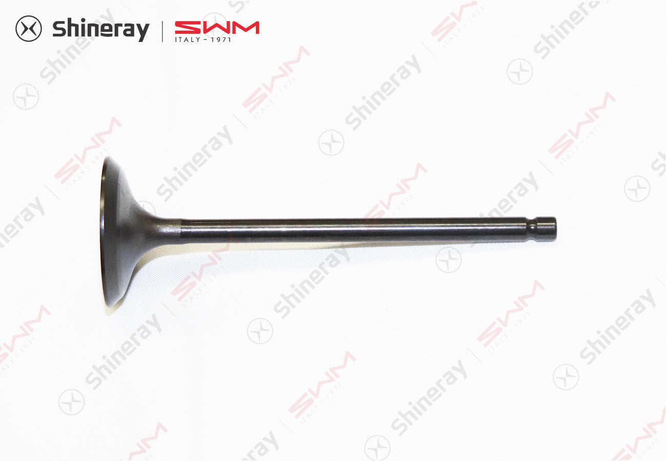 1007701-D1500-A000000>intake valve