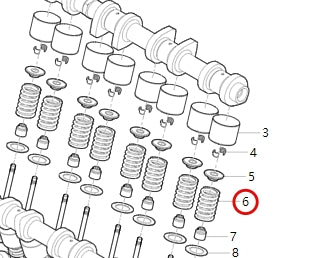 1007003-E1800-A000000>Valve Spring>5MT