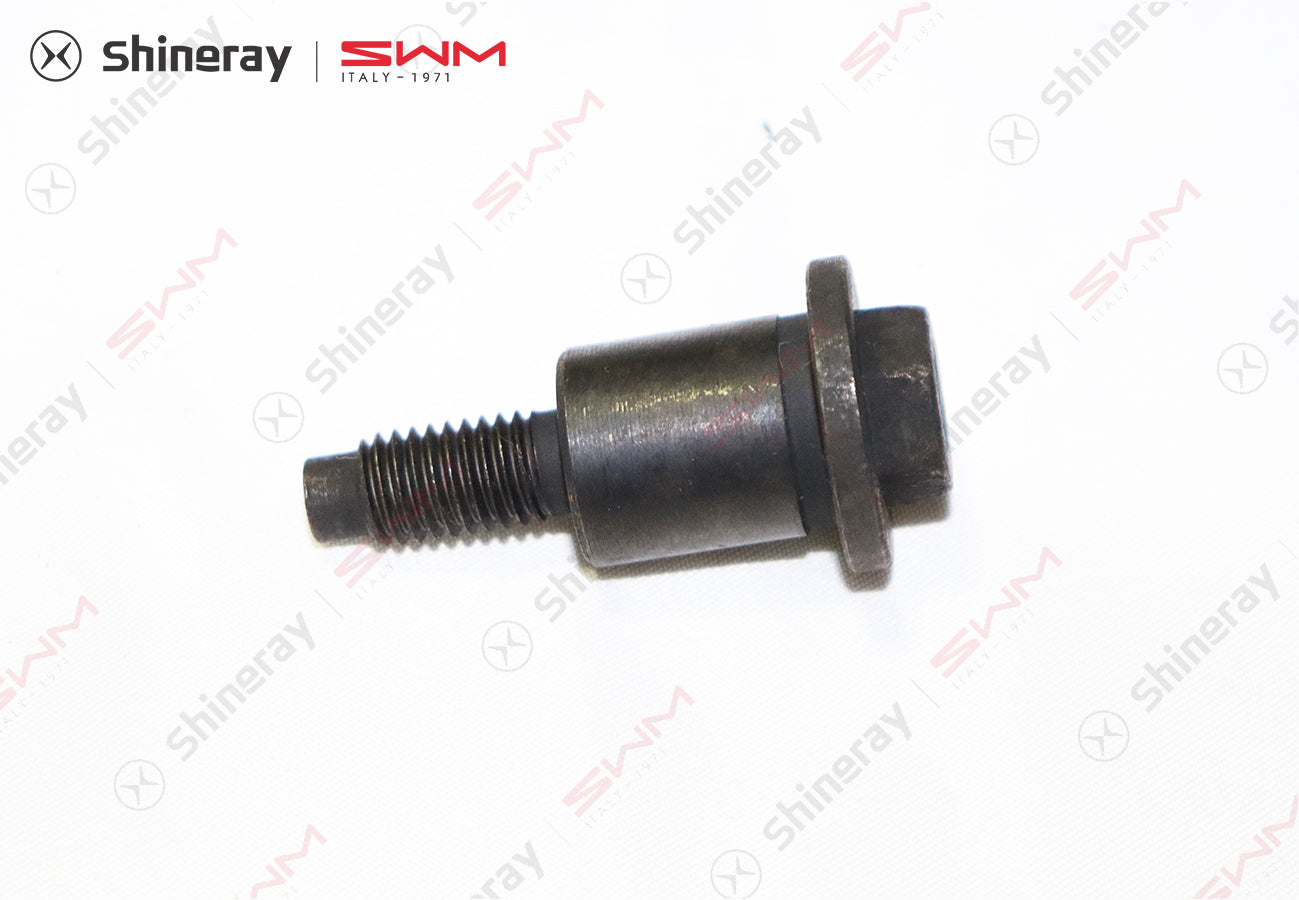 1021004-E1800-A000000>Timing chain tensioning rail bolt>5MT