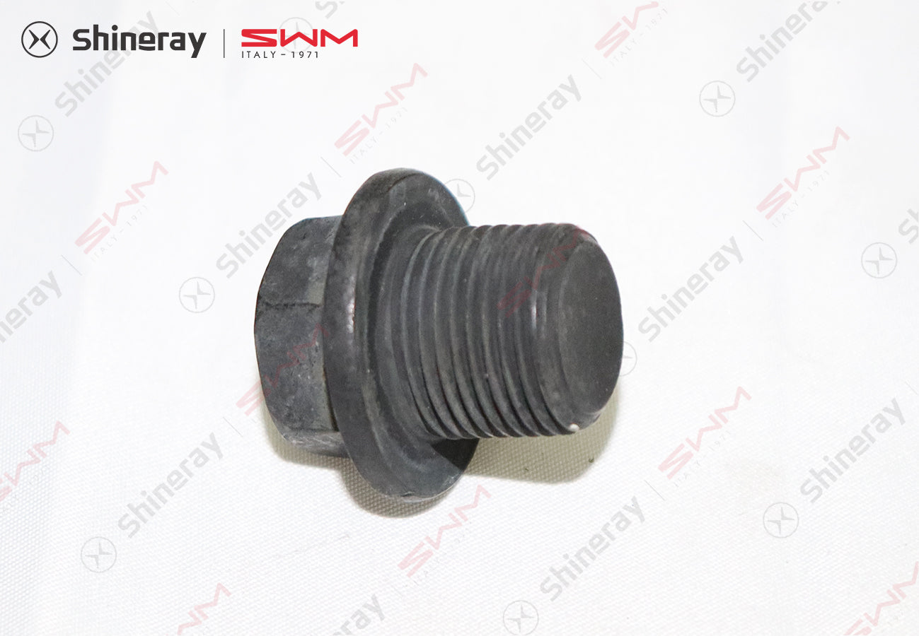 1700072-T1500-A00000P>Hexagonal head plug>7DCT