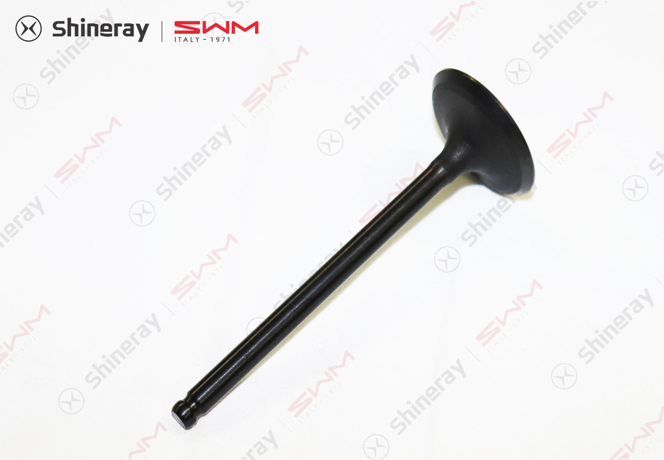 1007701-E1800-A000000>intake valve>5MT