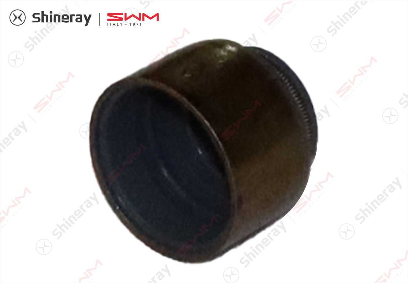 1007100-E1800-A000000>Valve oil seal>5MT