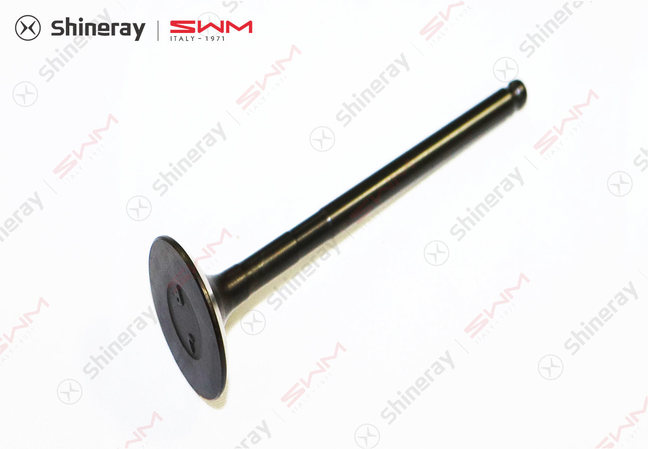 1007012-E1800-A000000>Exhaust valve>5MT