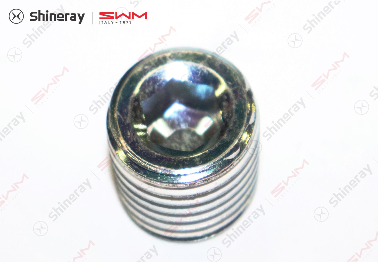 1709904-T1500-A508A01>Drain plug>6MT,5MT