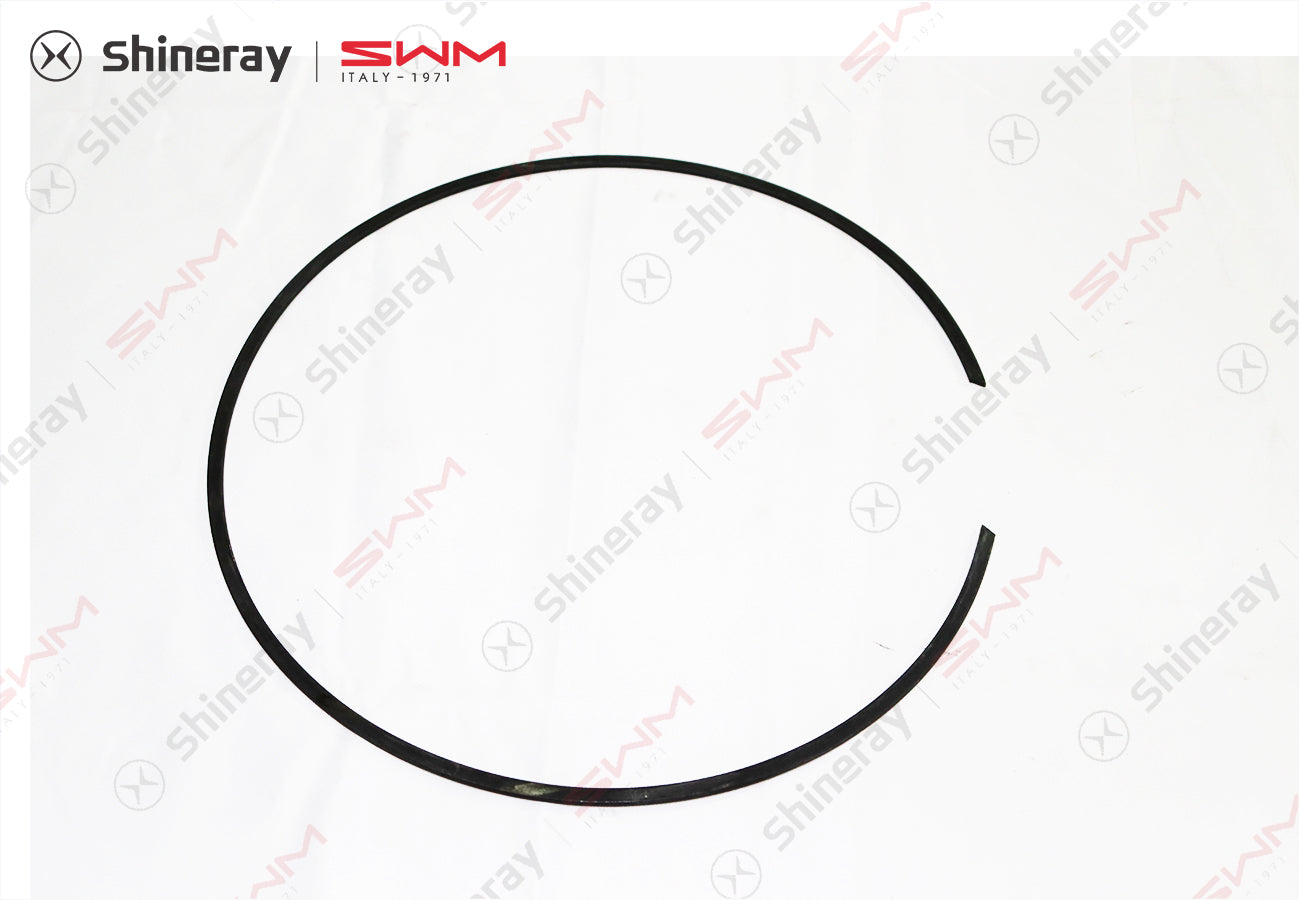 1700131-T1500-A00000P>Shell snap spring> 7DCT