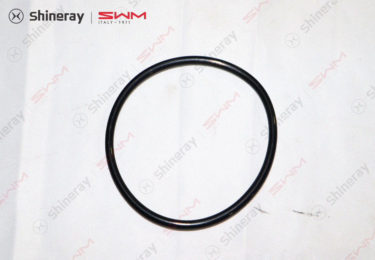 1700108-T1500-A00000P>Filter O-ring>7DCT