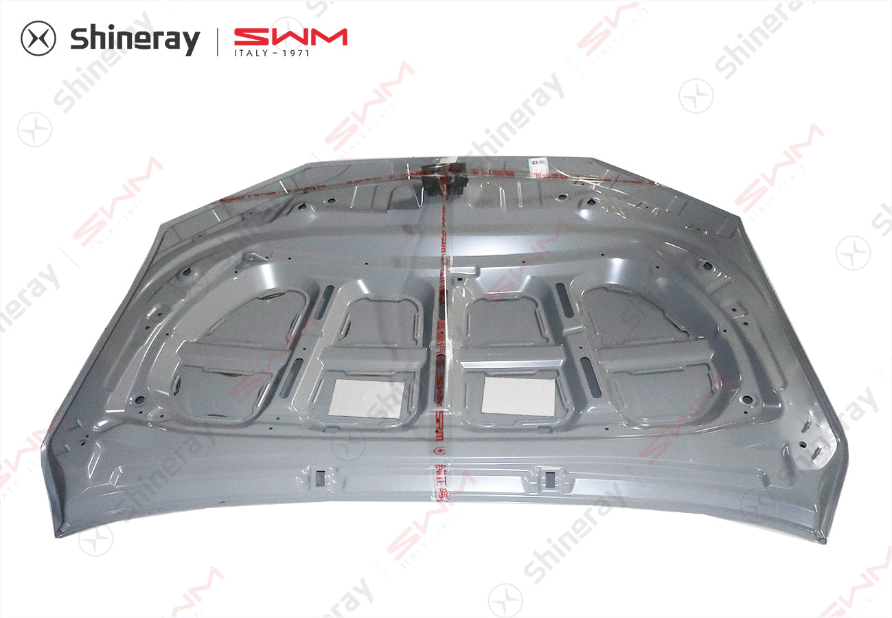 8401000-E0010-A010000>Engine hood assembly (electrophoresis)