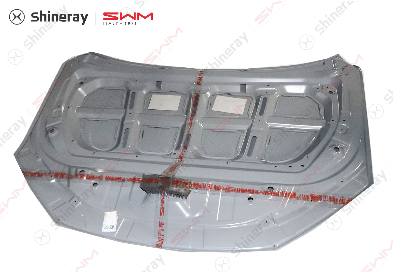 8401000-E0020-A010000>Engine hood assembly (electrophoresis)