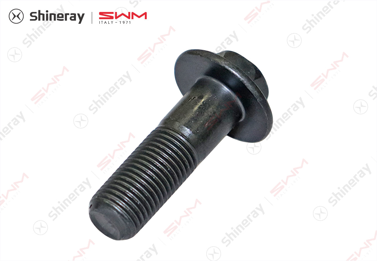 1007216-D1500-A000000>Inlet VVT fixing bolt>7DCT, 6MT, 6AT