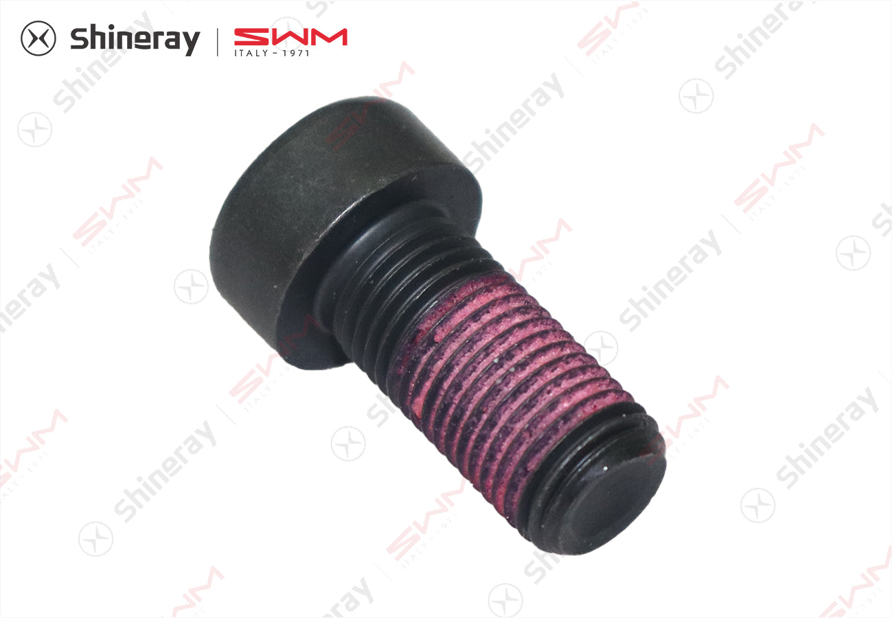 1005001-T1502-A000000>Flywheel bolt>7DCT