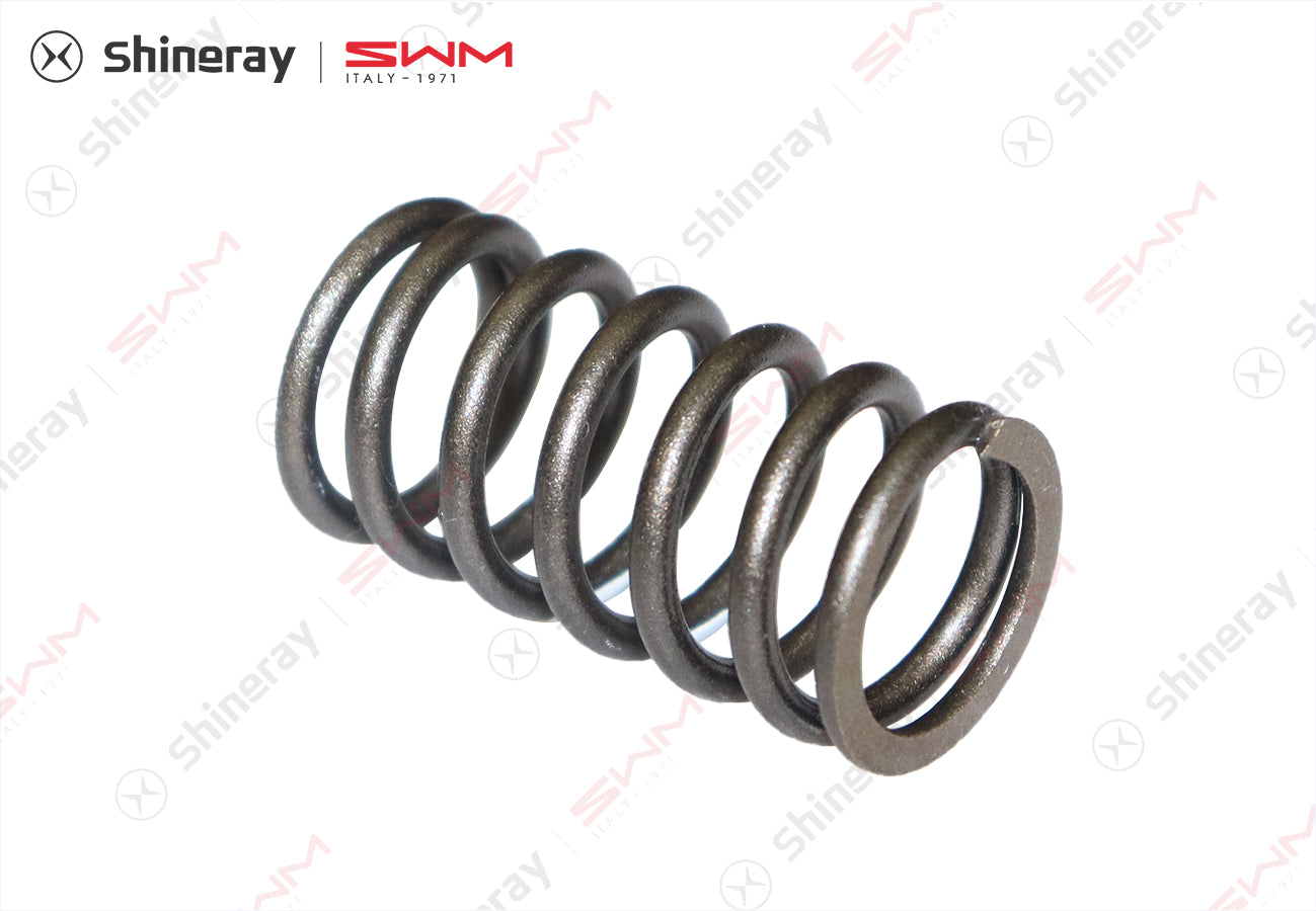 1007003-T1500-A000000>Valve Spring>7DCT, 6MT, 6AT
