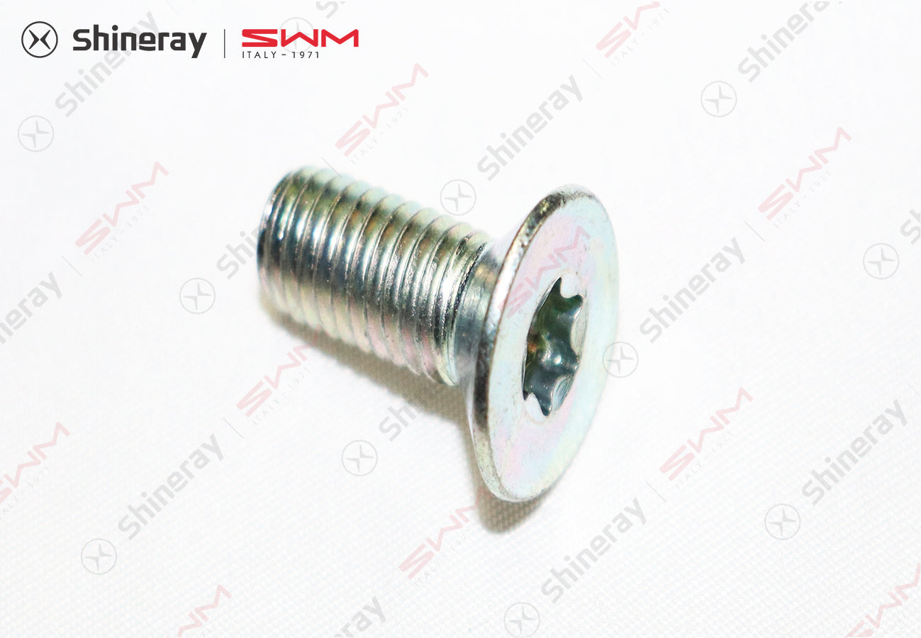 1709304-E2000-A000000>countersunk adhesive screw>5MT