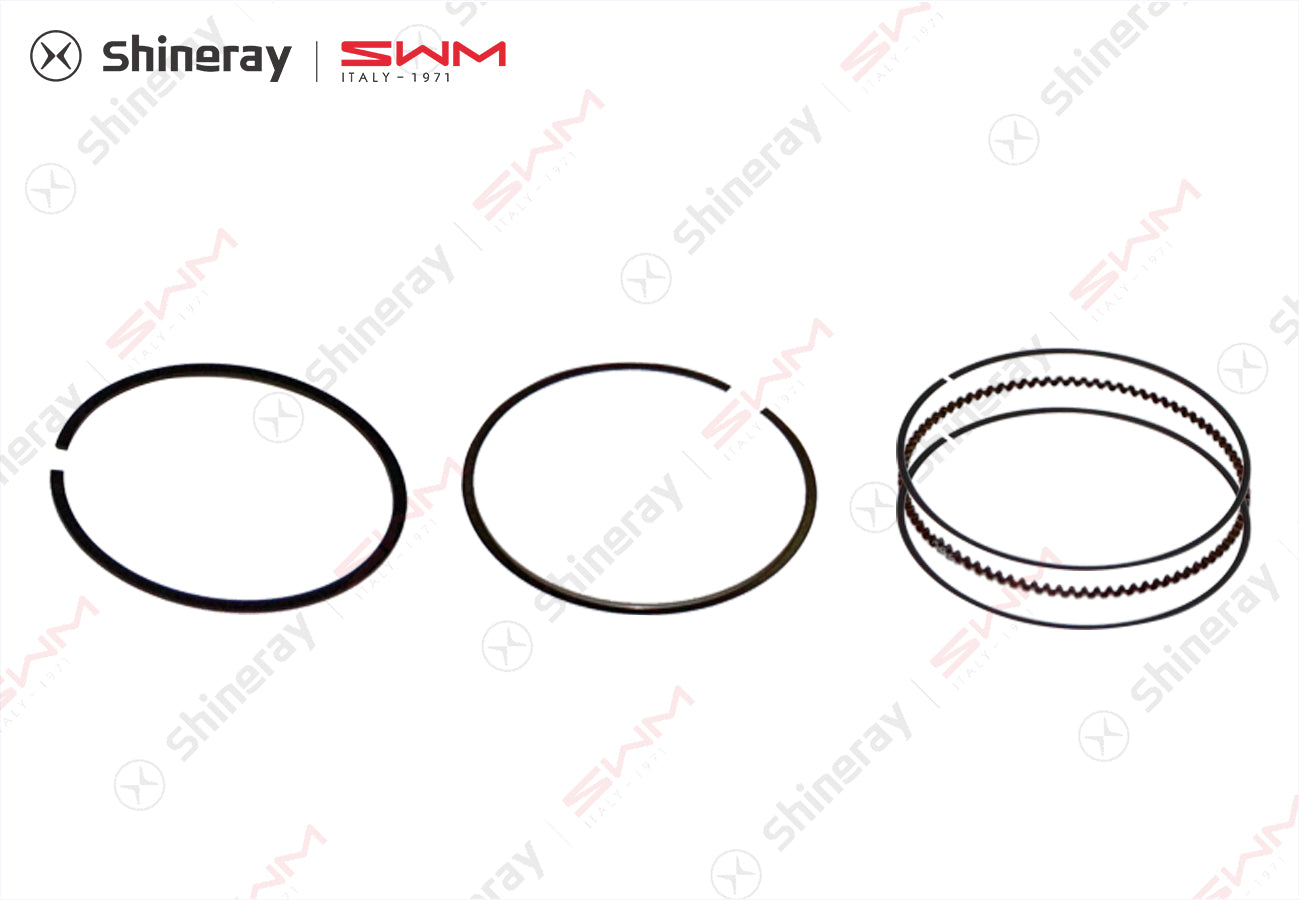 1320000-D1500-A000000>Piston Ring Assembly