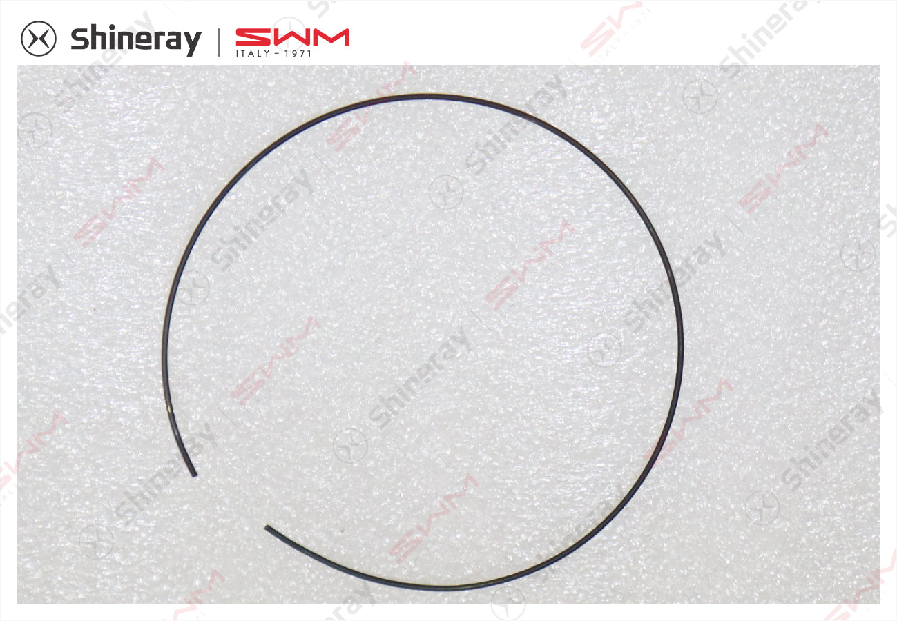 1700088-E2000-A00000P>Five speed synchronizer spring