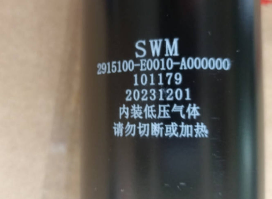 2915100-E0010-A000000>Rear shock absorber assembly