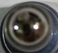 1701108-C1400-A000000>Steel Ball