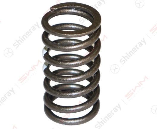 1007003-D1500-A000000>Valve Spring