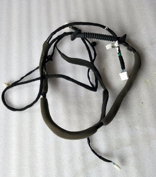 4002400-BB01A-A000000>Back door transition harness assembly