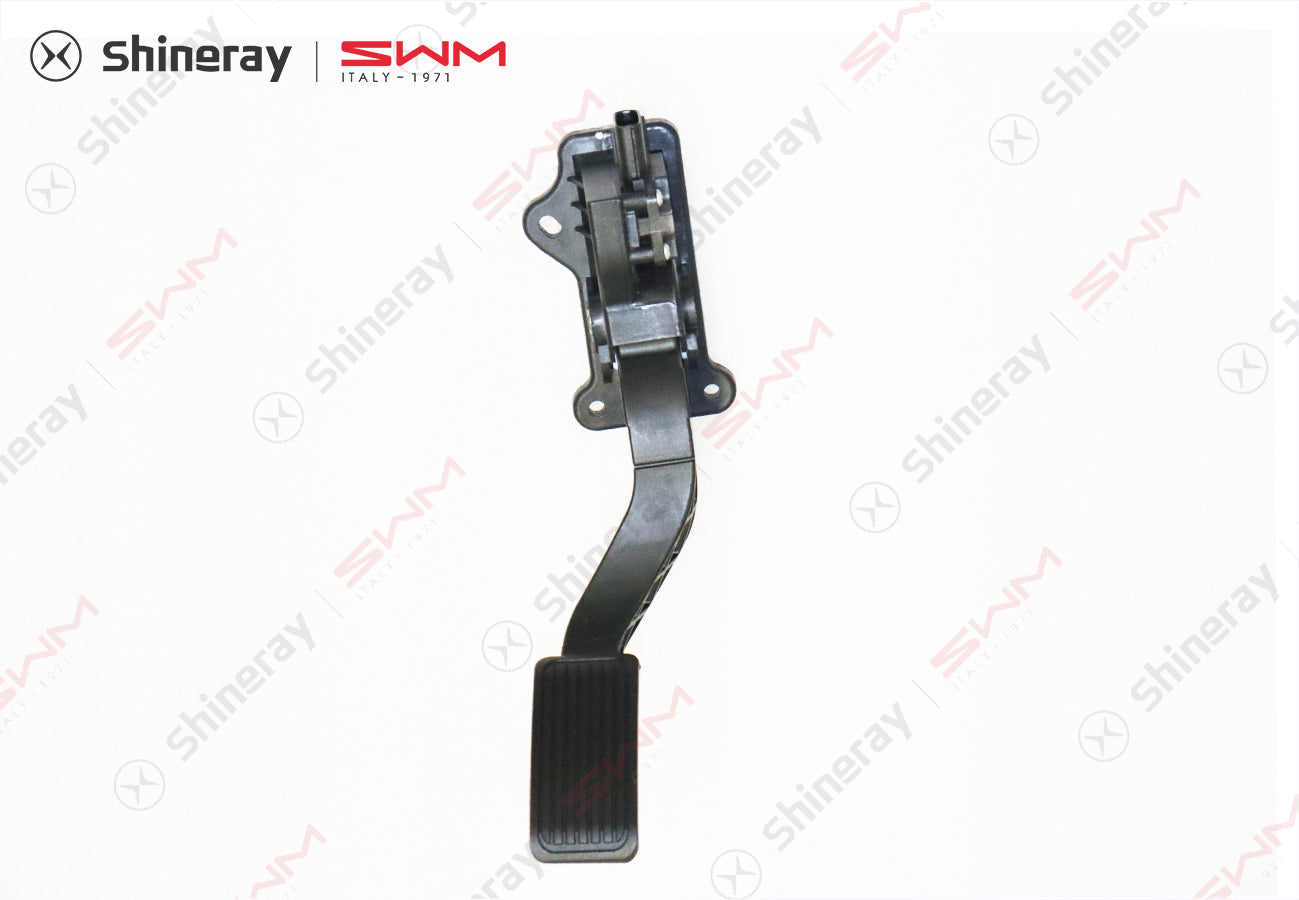 1108100-C0010-A000000>Accelerator Pedal Assembly
