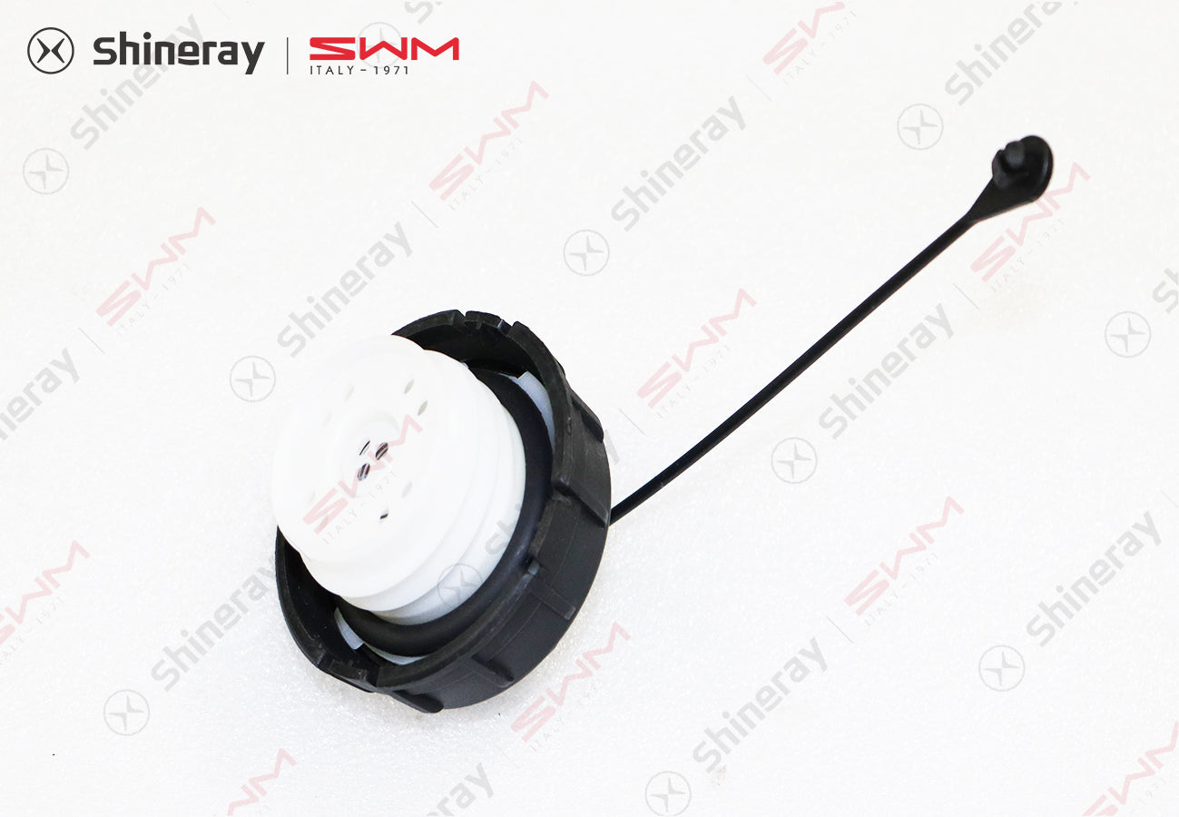 1103100-C0010-A000000>Fuel cap assembly