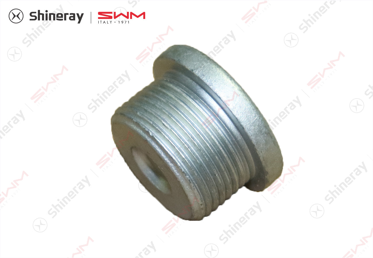 1009207-T1500-A00000P>Hexagon socket plug>7DCT