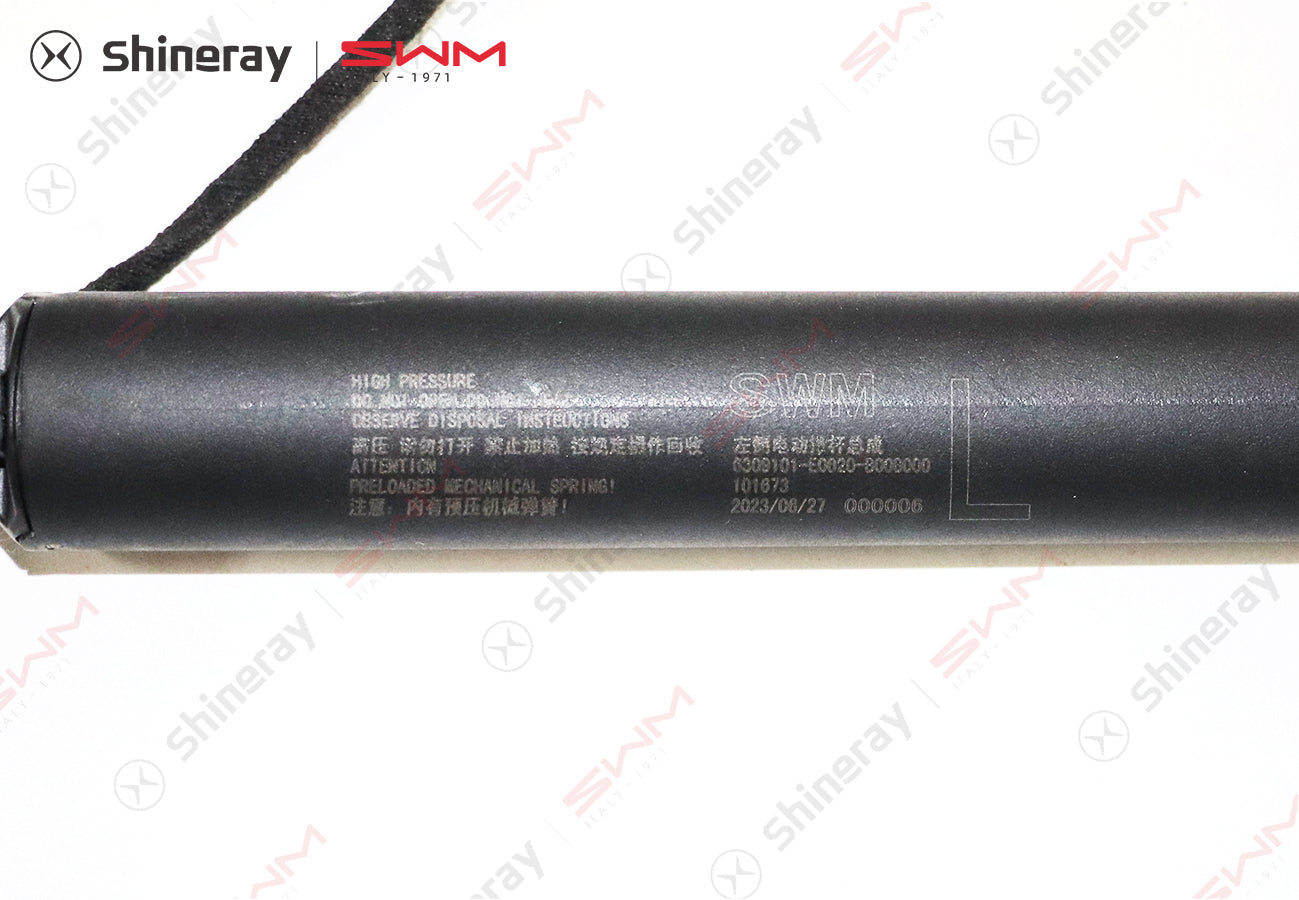 6309101-E0020-A000000>Electric tailgate left strut assembly