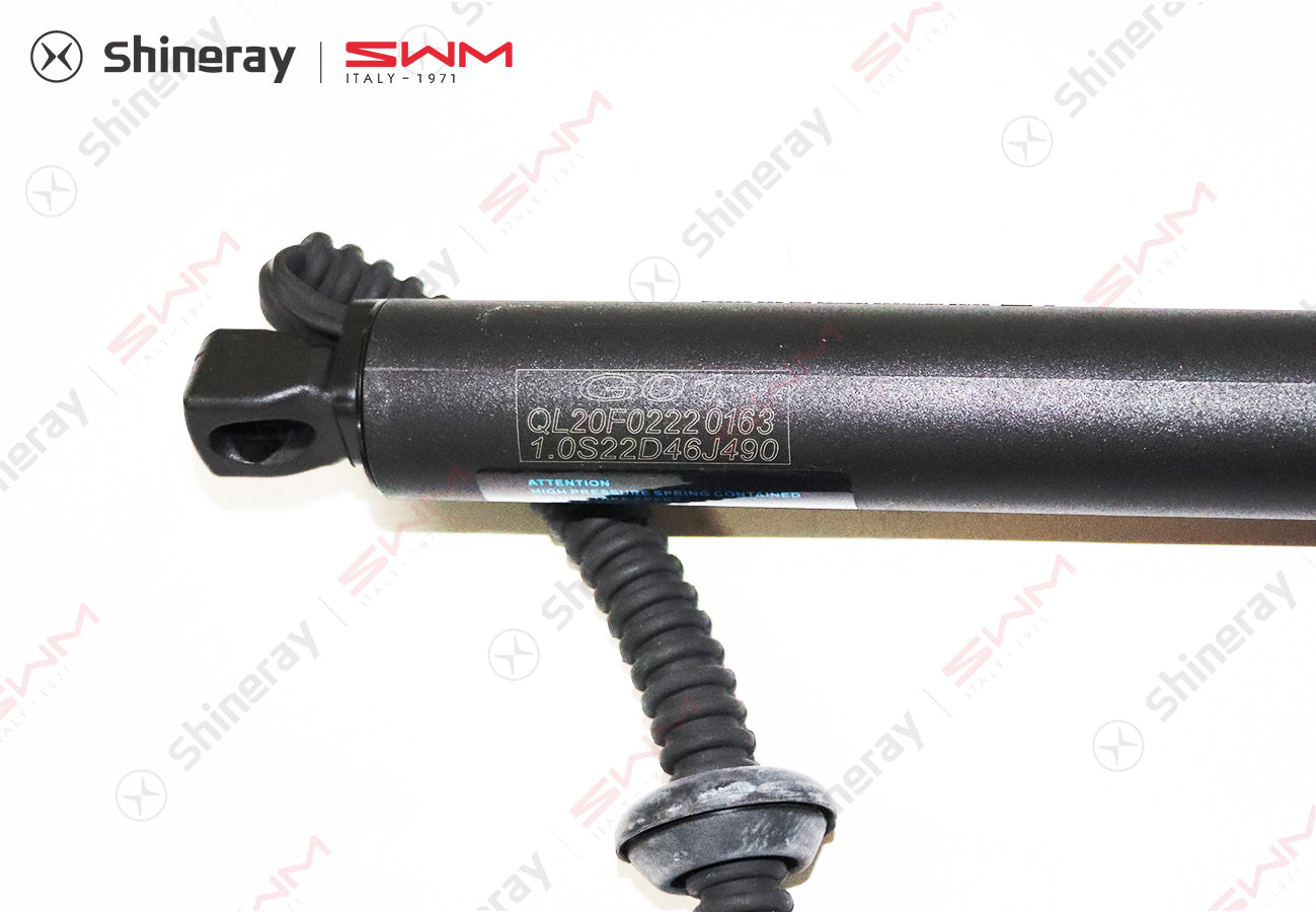 6309101-E0030-A000000>Electric tailgate left strut assembly