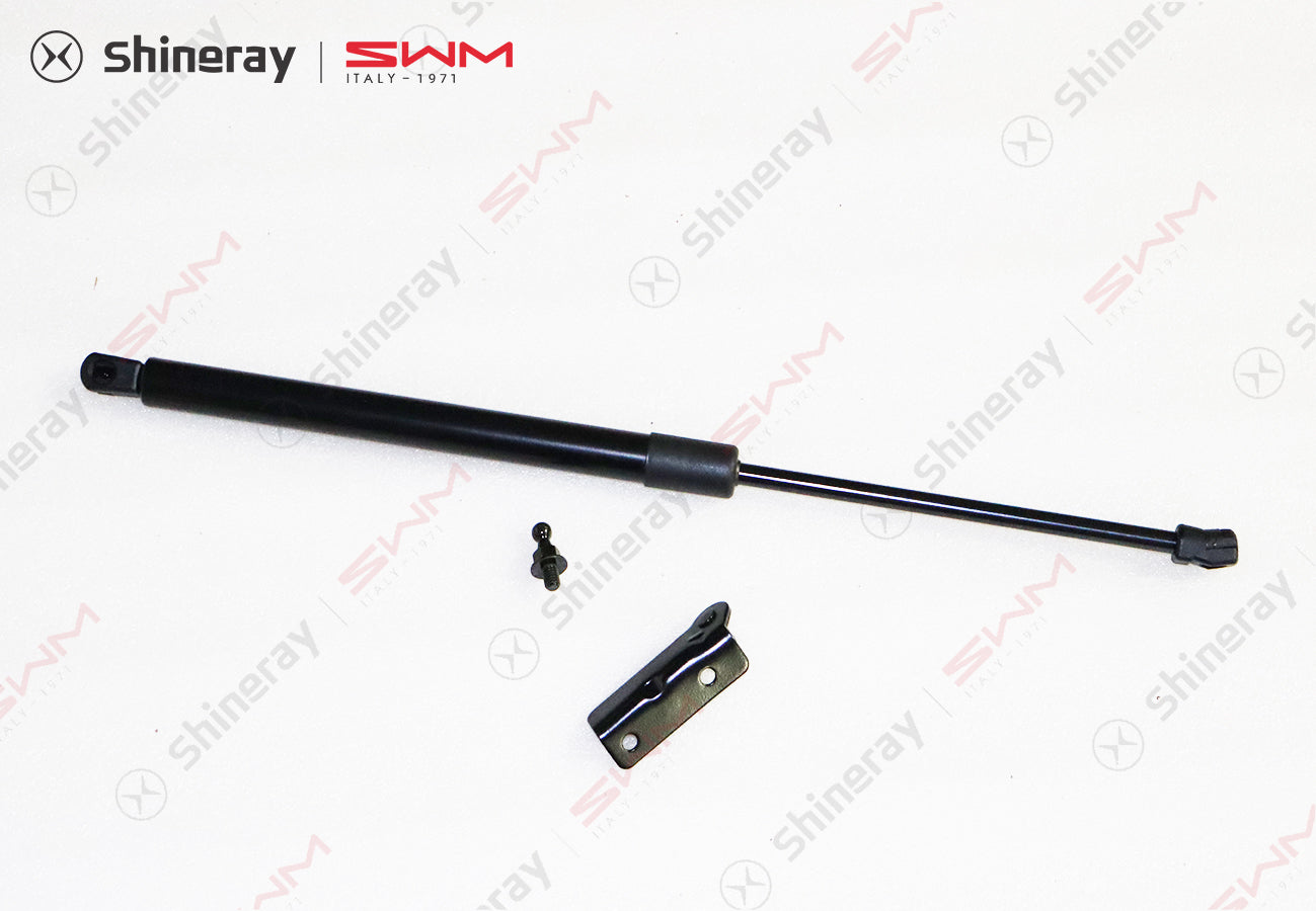 6309200-BB010-AA00000>Rear door gas strut assembly (right