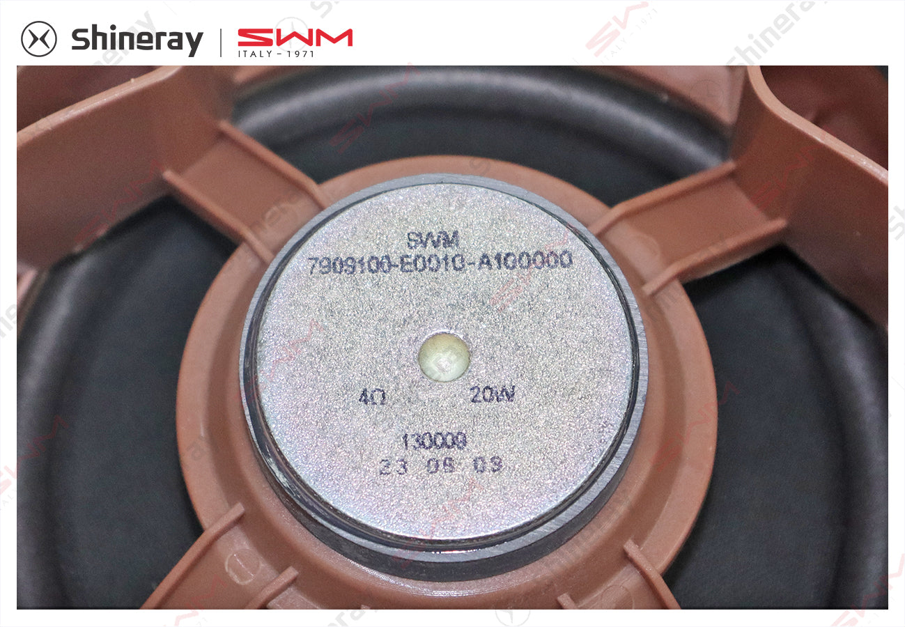 7909100-E0010-A10000>Bass Speaker