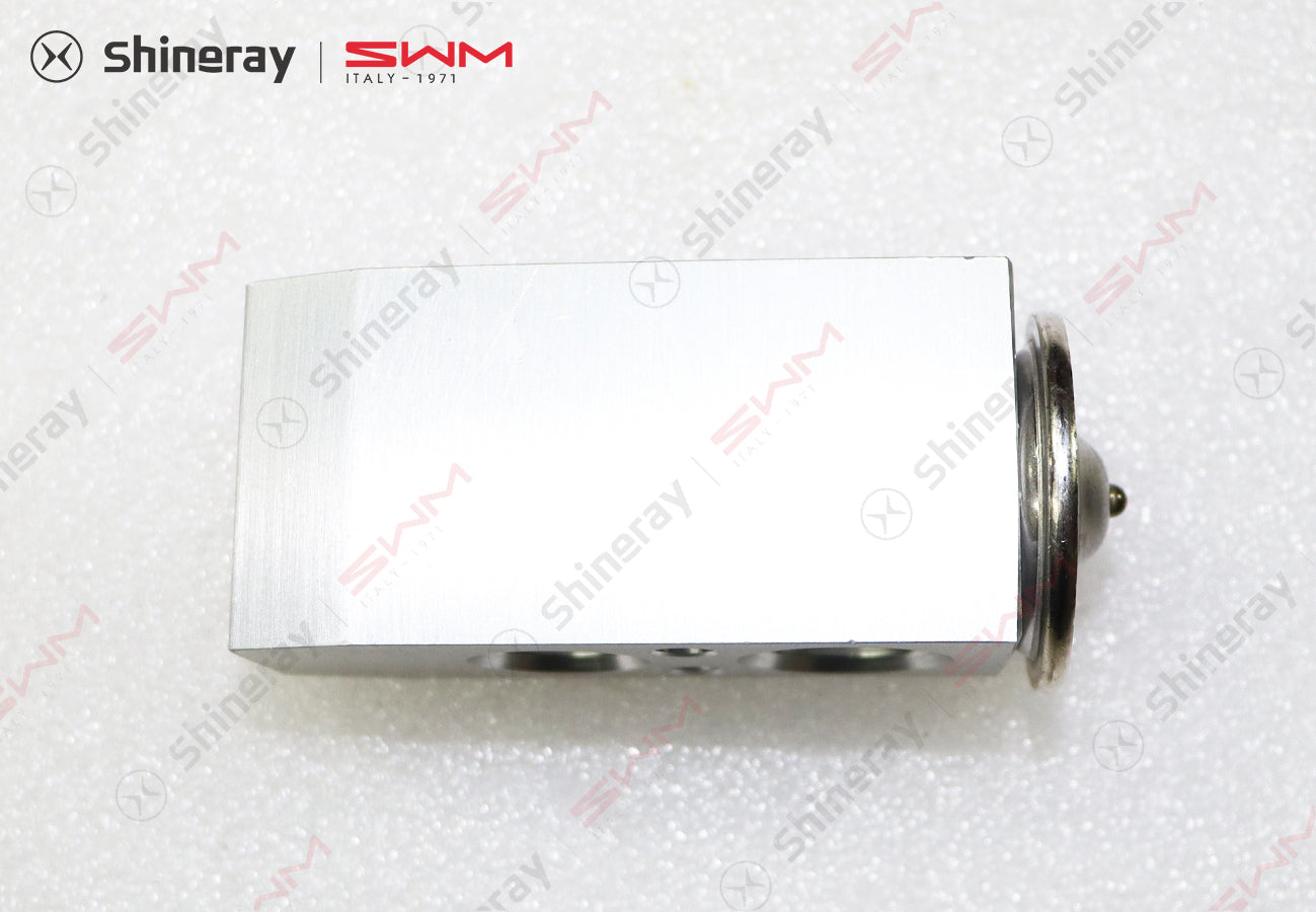 8107320-D0010-A000000>Expansion Valve