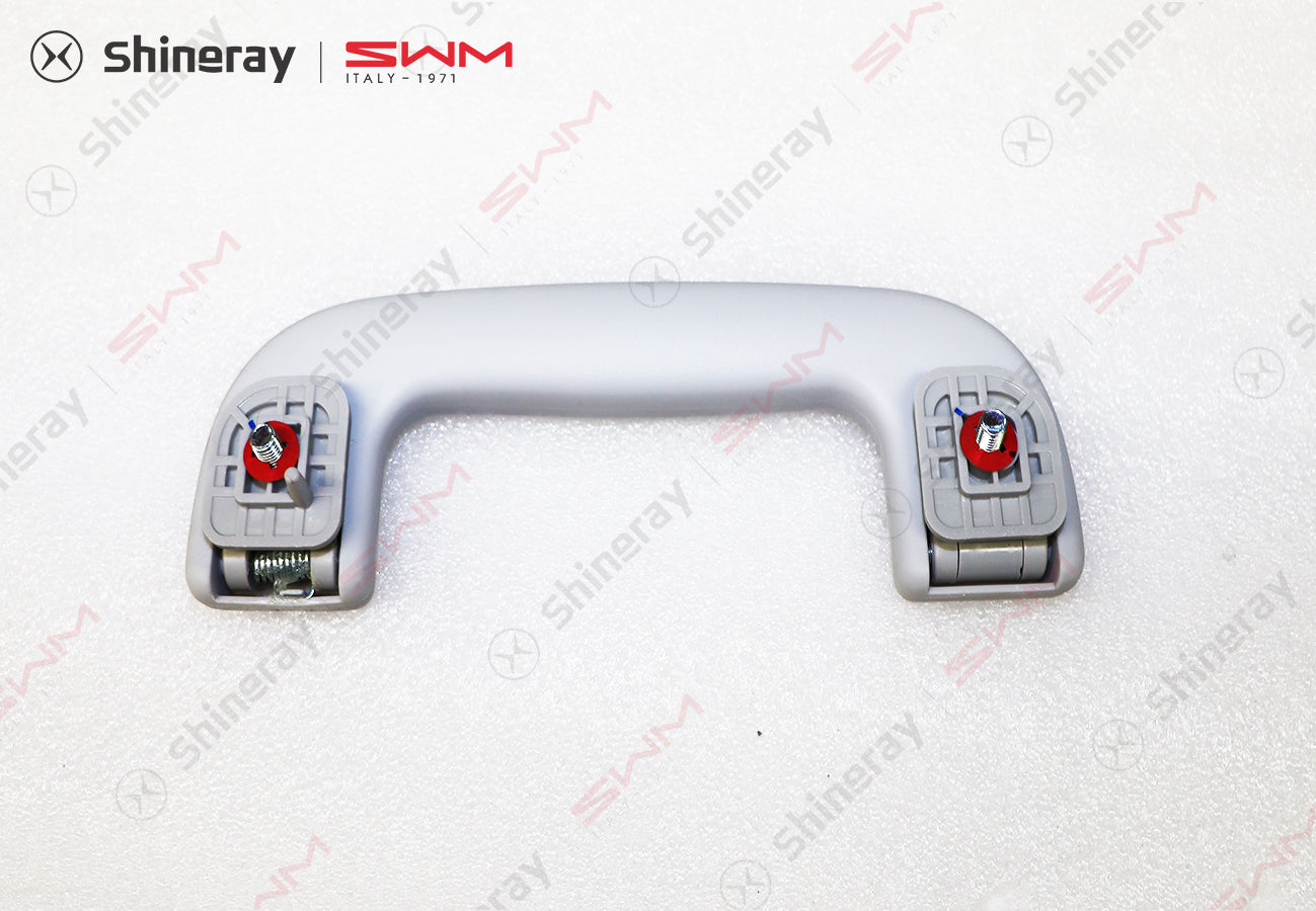 8215100-E0010-A10000>Safety handle assembly