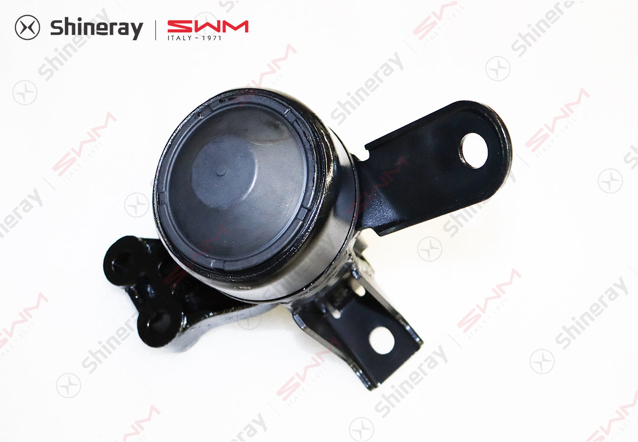 1001300-C0010-B100000>Engine suspension