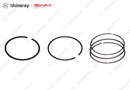 1004020-C1000-A000000>Piston Ring Component