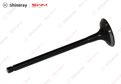 1007012-C1400-A100000>Exhaust valve