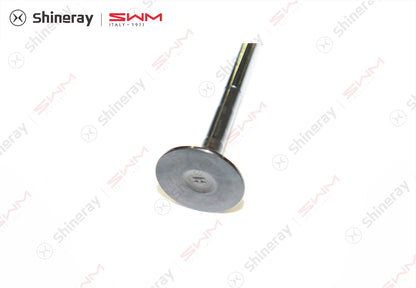 1007012-J1500-A000000>Exhaust valve