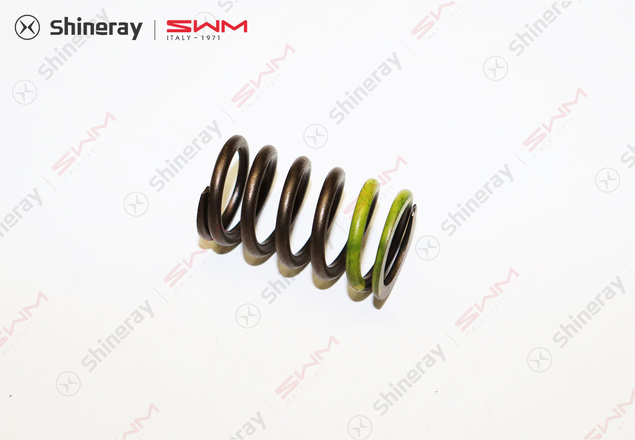 1007016-C1400-A000000>Valve Spring