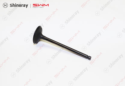 1007701-C1400-A10000>intake valve