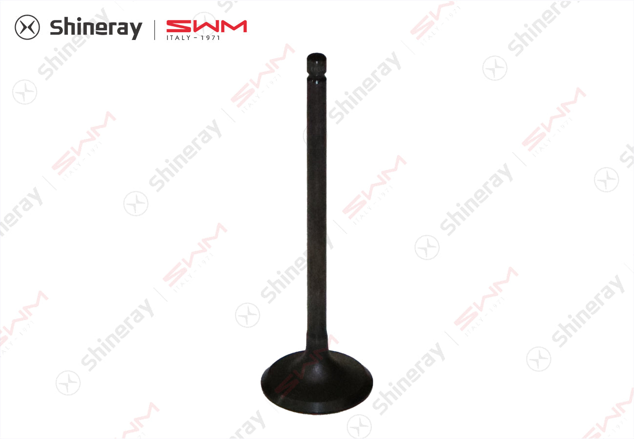 1007701-C1400-A10000>intake valve
