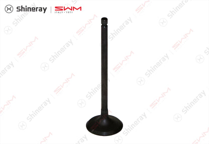 1007701-C1400-A10000>intake valve