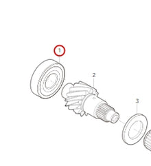 1700007-T1500-A00000P>Input shaft front bearing>6MT