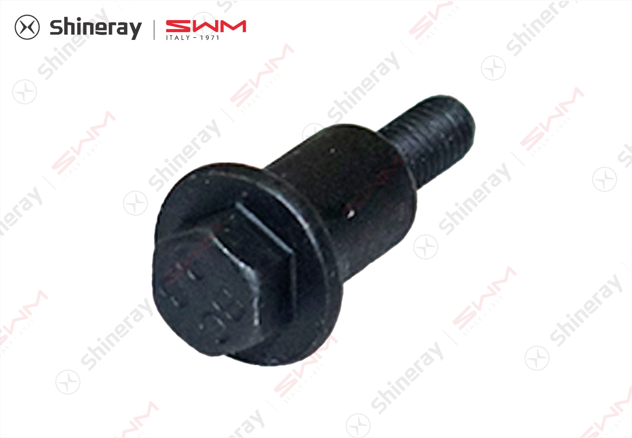1021003-T1500-A000000>Timing chain guide bolt>7DCT, 6MT, 6AT