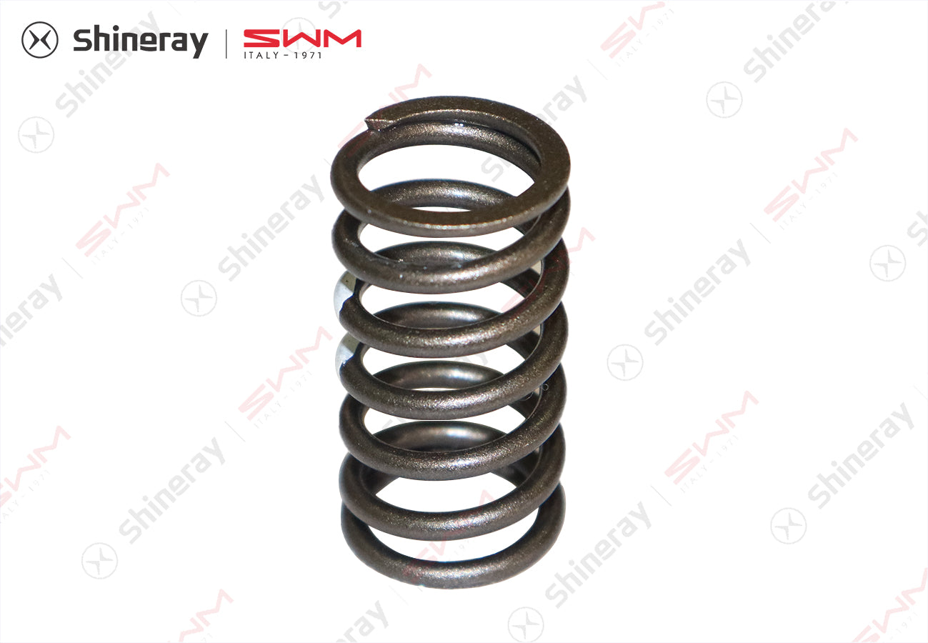 1007003-T1500-A000000>Valve Spring>7DCT, 6MT, 6AT