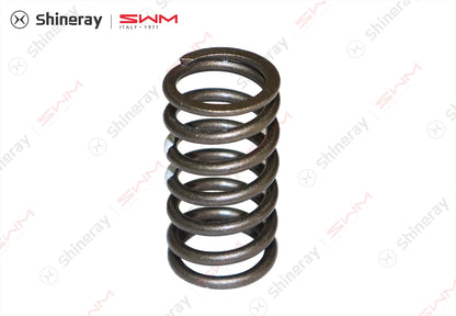 1007003-T1500-A000000>Valve Spring>7DCT, 6MT, 6AT