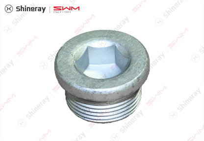 1009207-T1500-A00000P>Hexagon socket plug>7DCT
