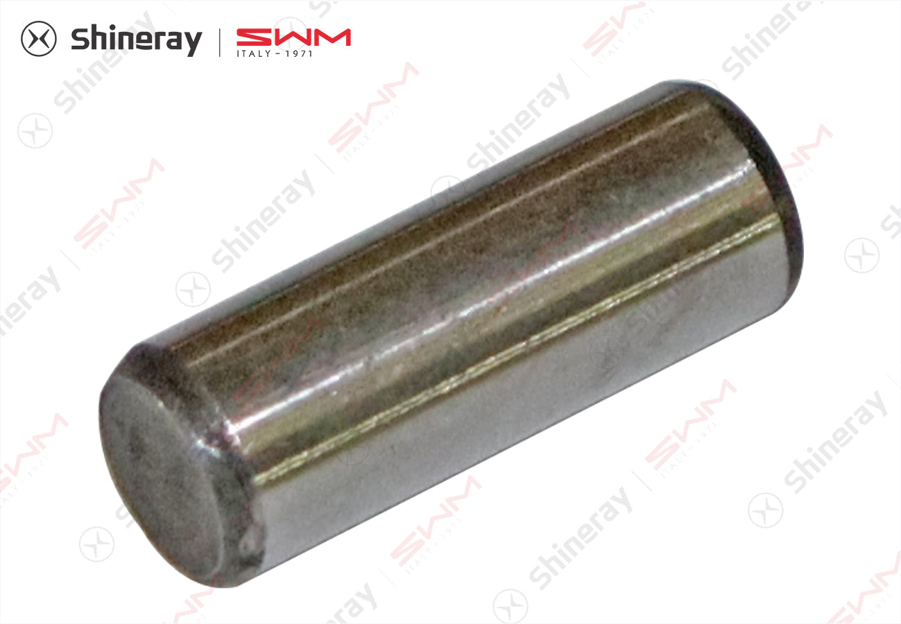 1000122-C1200-AA00000>Positioning pin>6MT